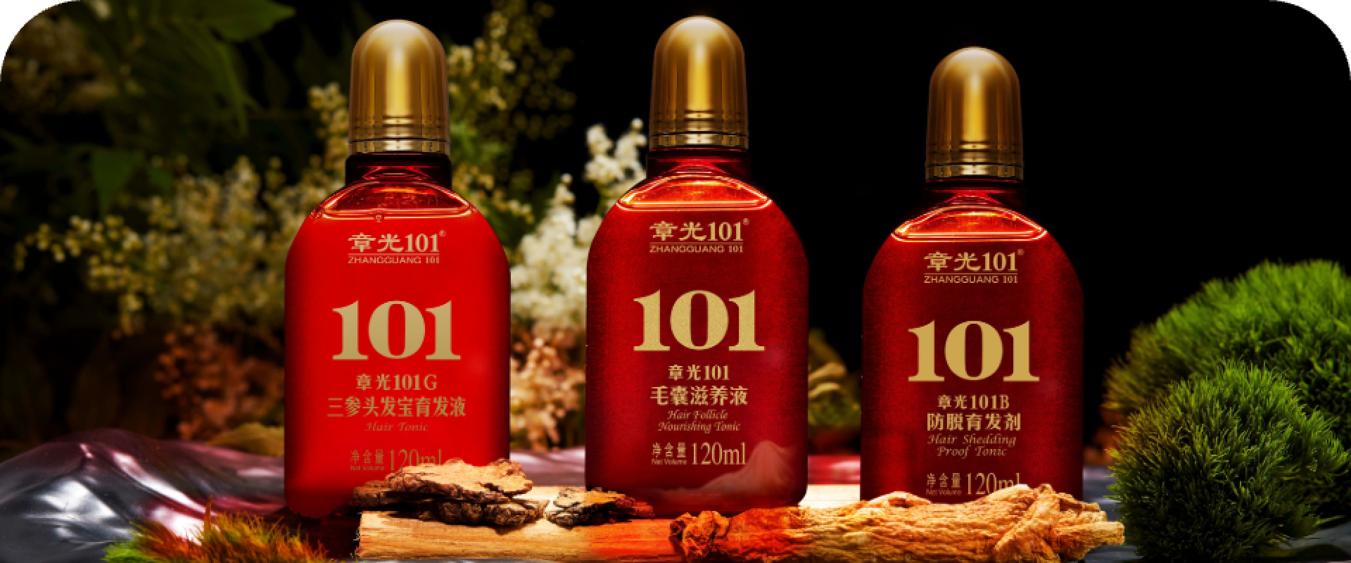 章光101